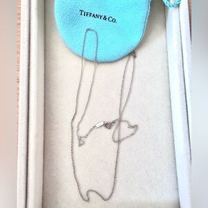 Tiffany & Co. Silver Clasp Necklace